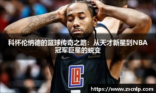 低调看球